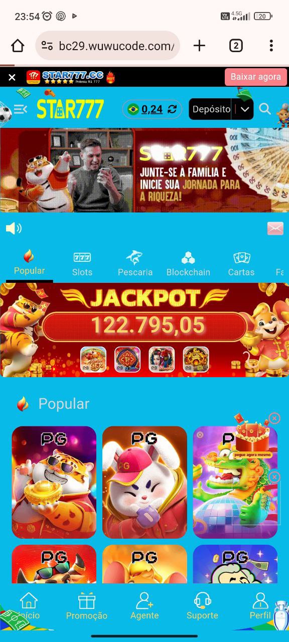 巴西PG源代碼 -v10